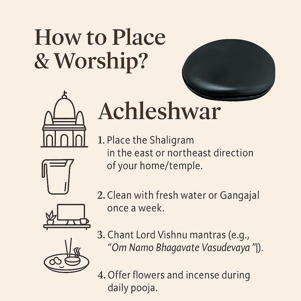 Achleshwar Original Vishnu Chakra Shaligram Stone