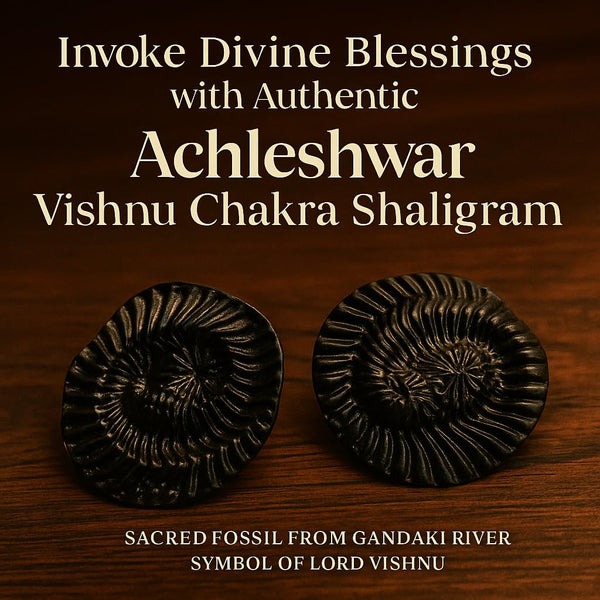 Achleshwar Original Vishnu Chakra Shaligram Stone
