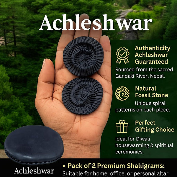Achleshwar Original Vishnu Chakra Shaligram Stone