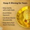 Vastu Feng Shui Brass Tortoise with Plate - Achleshwar