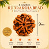 rudraksha_mala_for_jaap_meditation_boyes