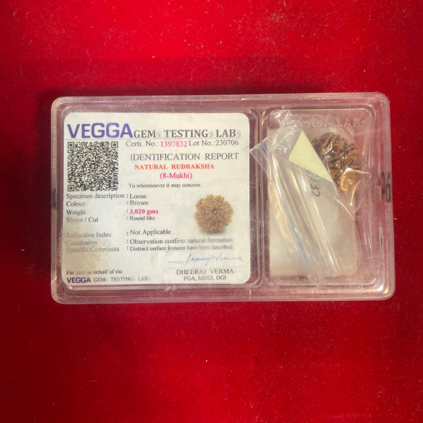 Certified 8 Mukhi Rudraksha