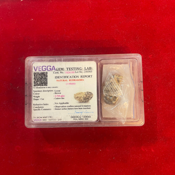 ek mukhi rudraksha half moon chandrakaar