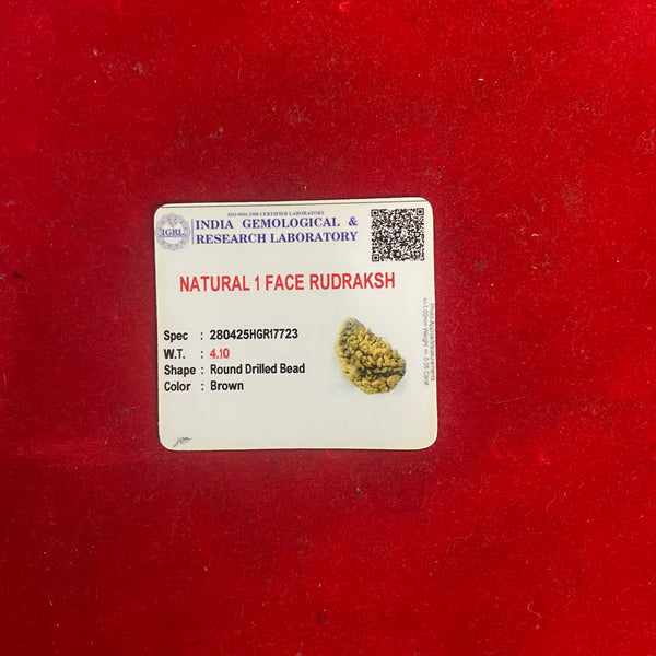 1 Mukhi Natural Rudraksha – Certified Original Ek Mukhi Rudraksha Bead