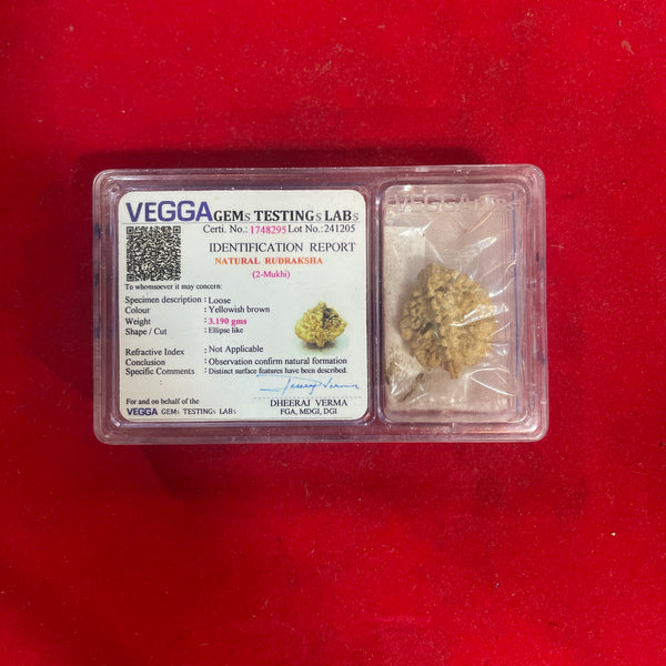 do mukhi rudraksha bead