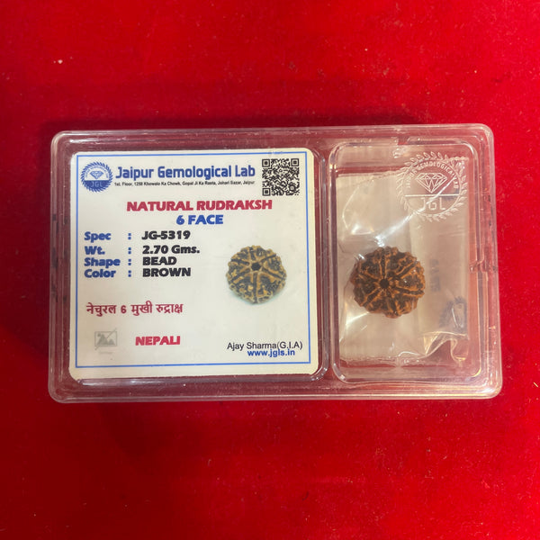 6 Mukhi Rudraksha – Certified Natural Six Faced Rudraksha Bead
