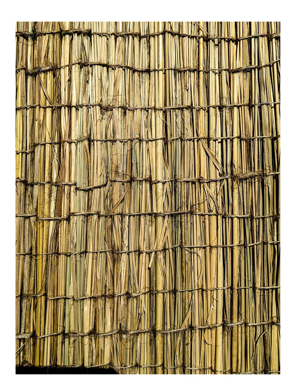 Kusha Aasan 4-Pcs