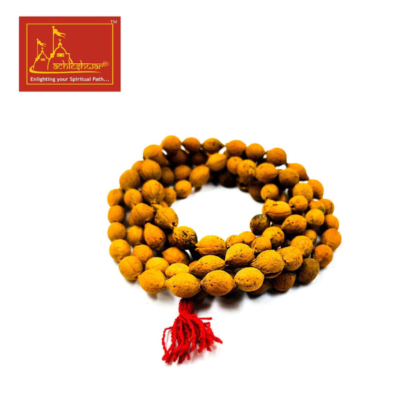 Putrajiva Mala (108+1) with Goumukhi