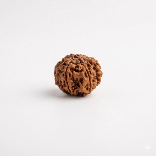 ganesh rudraksha bead
