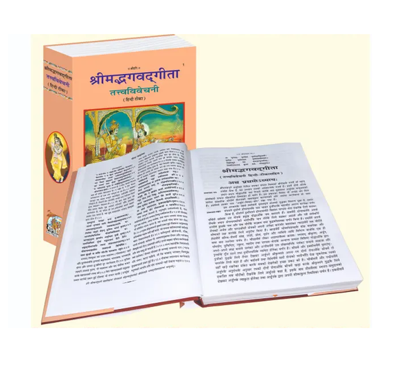 bhagavad gita hindi commentary