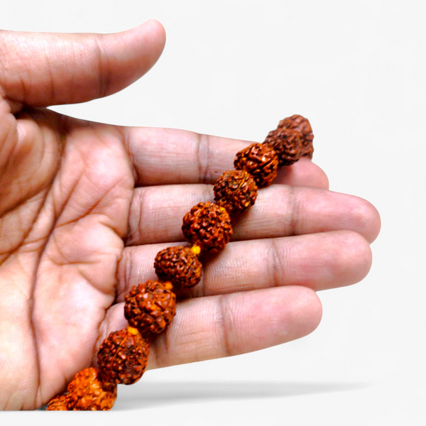 Lab Certified 5 Mukhi Rudraksha Mala 108+1 Beads for Japa & Meditation | 4mm–8mm | Authentic Natural Rudraksha with Certificate | Achleshwar