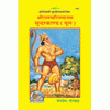 Gitapress Sundarkand-Mool devotional book with Hanuman figure on blue cover