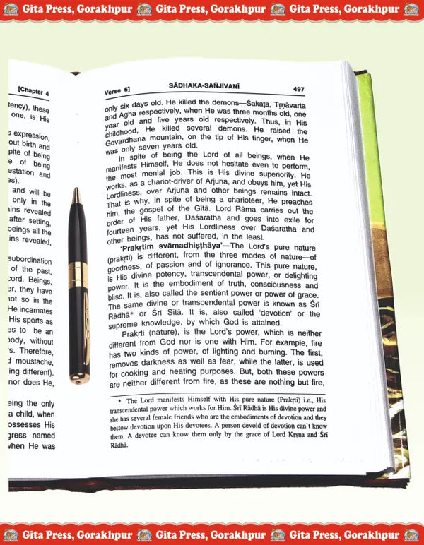 Gitapress Gita Sadhak Sanjivani (Code-1080)