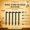 Nagfani Ki Keel | Traditional Tamra Nails for Pooja, Temple, Wooden Mandir, Religious Rituals & Decorative Applications | Achleshwar