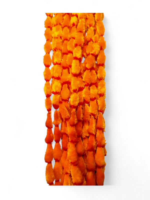 pavitra rakhi for laddu gopal 