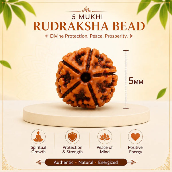 rudrakhs_mala_5mm_bead