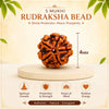 rudrakhs_mala_for_male_female_4mm