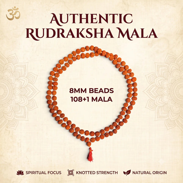 original rudraksha mala for boyes 