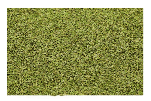Green fennel seeds, whole and dried in bulk