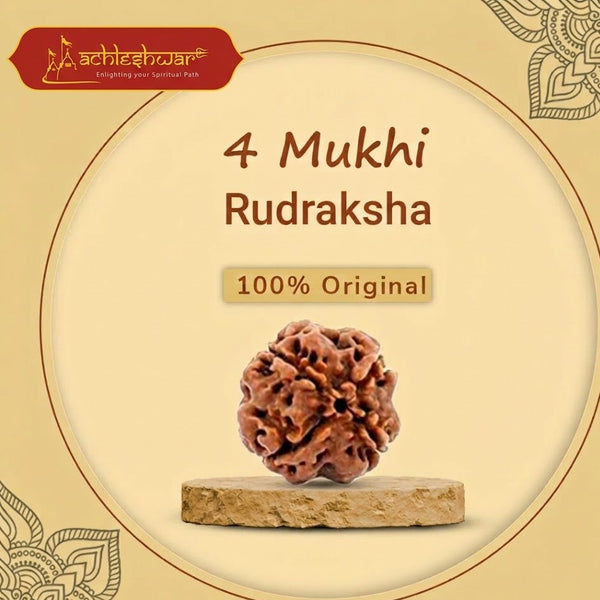 4 Mukhi Rudraksha – Natural & Certified Four Faced Rudraksha Bead