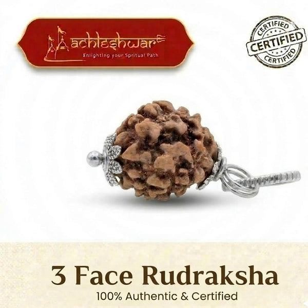 3 mukhi rudraksha lab certified