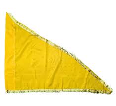 Achleshwar Yellow Satin Hindu Religious Flag | Mandir Puja Dhwaj